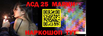 гашик Гатчина