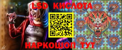 гашик Гатчина