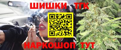 амф Гай