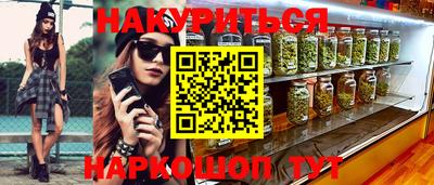гашик Гатчина