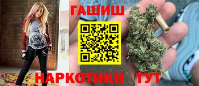 гашик Гатчина