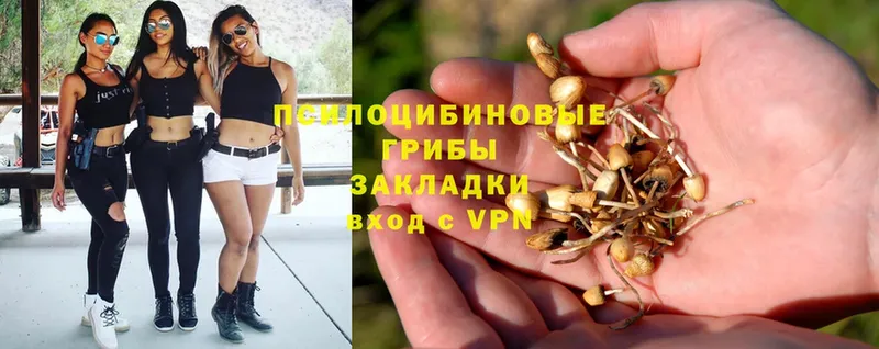 Псилоцибиновые грибы MAGIC MUSHROOMS  закладки  Киров 