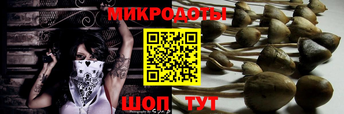Киров  Псилоцибиновые грибы Cubensis  Вход с VPN 