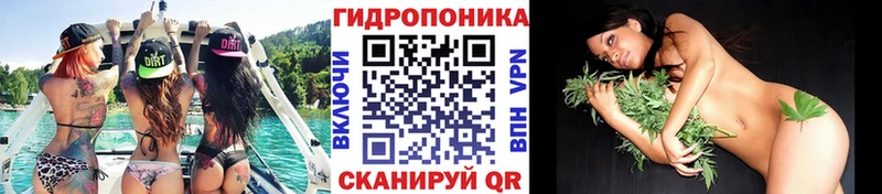 МАРИХУАНА тримм закладки Киров