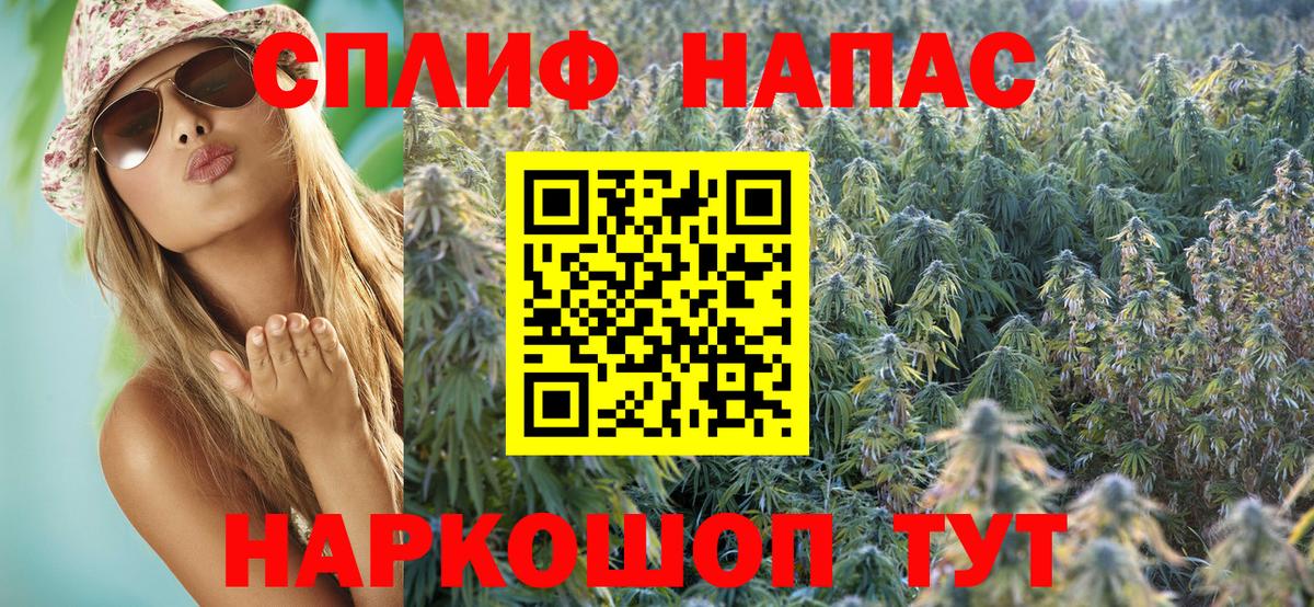 Конопля Bruce Banner Киров